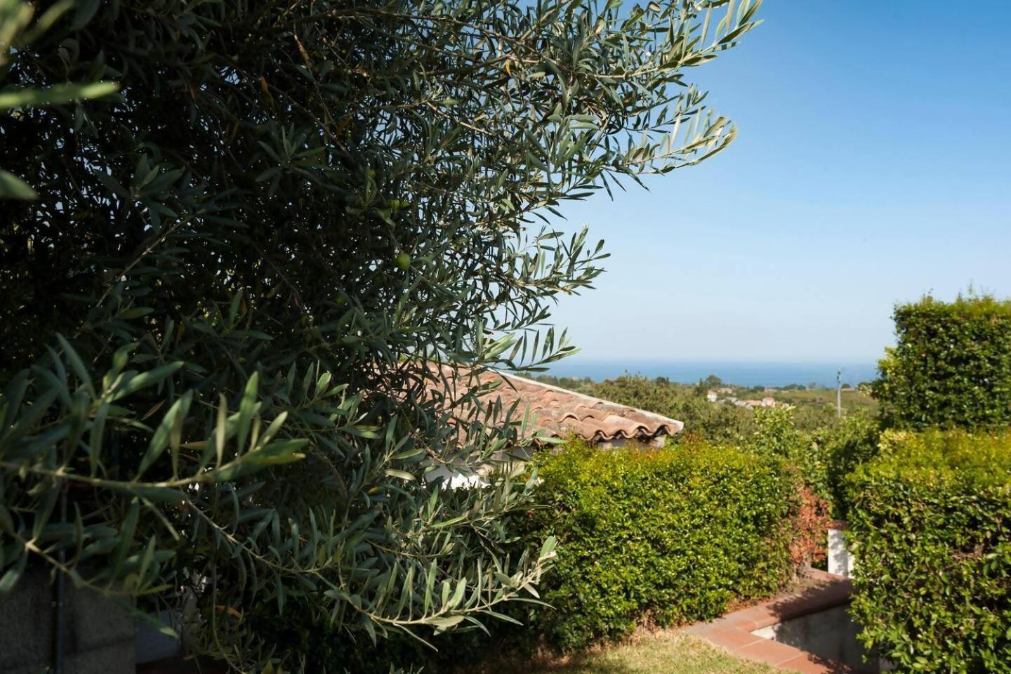 Ginevra Santa Venerina